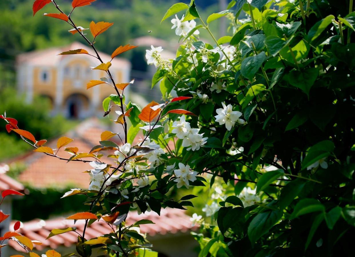 Iliikova House Hotel Kalofer Exterior foto